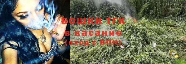 крисы Алексин